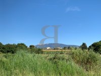 Building plot Vaison-la-Romaine #014608 Boschi Real Estate