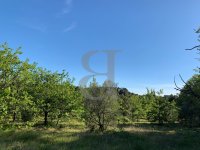 Building plot Vaison-la-Romaine #014608 Boschi Real Estate