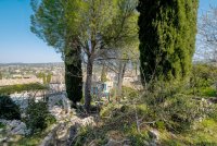 Farmhouse and stonebuilt house Vaison-la-Romaine #014627 Boschi Real Estate