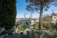 Farmhouse and stonebuilt house Vaison-la-Romaine #014627 Boschi Real Estate