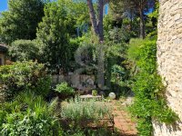 Farmhouse and stonebuilt house Vaison-la-Romaine #014627 Boschi Real Estate