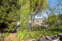 Farmhouse and stonebuilt house Vaison-la-Romaine #014627 Boschi Real Estate