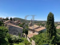 Exceptional property Vaison-la-Romaine #015749 Boschi Luxury Properties