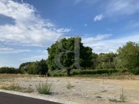 Building plot Vaison-la-Romaine #015029 Boschi Real Estate