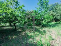 Building plot Vaison-la-Romaine #015845 Boschi Real Estate