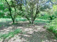 Building plot Vaison-la-Romaine #015845 Boschi Real Estate