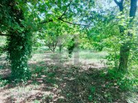 Building plot Vaison-la-Romaine #015845 Boschi Real Estate