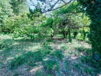 Building plot Vaison-la-Romaine #015845 Boschi Real Estate