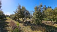 Farmhouse and stonebuilt house Taulignan #015864 Boschi Real Estate