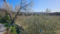 Farmhouse and stonebuilt house Taulignan #015864 Boschi Real Estate