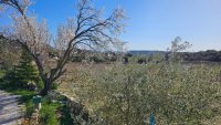 Farmhouse and stonebuilt house Taulignan #015864 Boschi Real Estate