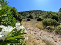 Farmhouse and stonebuilt house Vaison-la-Romaine #015868 Boschi Real Estate