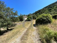 Farmhouse and stonebuilt house Vaison-la-Romaine #015868 Boschi Real Estate