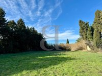 Farmhouse and stonebuilt house Saint-Rémy-de-Provence #016317 Boschi Real Estate