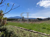 Farmhouse and stonebuilt house Vaison-la-Romaine #016437 Boschi Real Estate