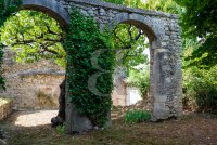 Farmhouse and stonebuilt house Vaison-la-Romaine #016505 Boschi Real Estate