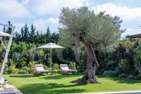 Exceptional property Eygalières #016697 Boschi Luxury Properties