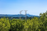 Maison de village Maussane-les-Alpilles #016806 Boschi Prestige