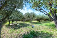 Villa Saint-Rémy-de-Provence #016778 Boschi Prestige