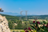 Farmhouse and stonebuilt house Grignan #016831 Boschi Real Estate