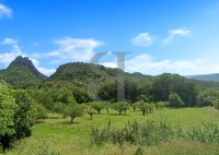 Terrain Buis-les-Baronnies #016843 Boschi Immobilier