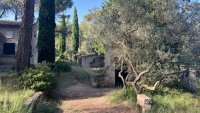 Farmhouse and stonebuilt house Saint-Rémy-de-Provence #016849 Boschi Real Estate