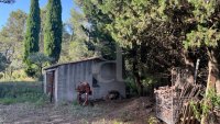 Farmhouse and stonebuilt house Saint-Rémy-de-Provence #016849 Boschi Real Estate