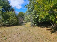 Farmhouse and stonebuilt house Sainte-Cécile-les-Vignes #016897 Boschi Real Estate