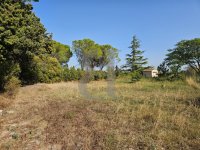 Building plot Sainte-Cécile-les-Vignes #016896 Boschi Real Estate