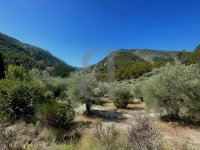 Farmhouse and stonebuilt house Buis-les-Baronnies #016859 Boschi Real Estate