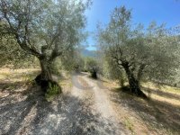 Farmhouse and stonebuilt house Buis-les-Baronnies #016859 Boschi Real Estate