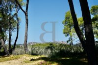 Exceptional property Les Baux-de-Provence #016911 Boschi Luxury Properties