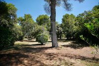 Exceptional property Les Baux-de-Provence #016911 Boschi Luxury Properties