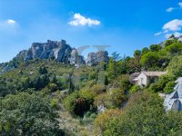 Mas Les Baux-de-Provence #016913 Boschi Prestige