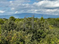 Farmhouse and stonebuilt house Venasque #016982 Boschi Real Estate