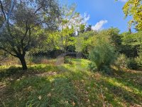 Farmhouse and stonebuilt house Bollène #016931 Boschi Real Estate