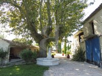 Farmhouse and stonebuilt house Pernes-les-Fontaines #016986 Boschi Real Estate