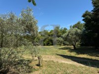 Farmhouse and stonebuilt house Saint-Rémy-de-Provence #016785 Boschi Real Estate