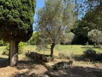 Farmhouse and stonebuilt house Saint-Rémy-de-Provence #016785 Boschi Real Estate