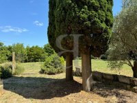 Farmhouse and stonebuilt house Saint-Rémy-de-Provence #016785 Boschi Real Estate