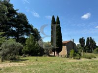 Farmhouse and stonebuilt house Saint-Rémy-de-Provence #016785 Boschi Real Estate