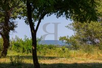 Farmhouse and stonebuilt house Vaison-la-Romaine #017009 Boschi Real Estate