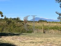 Farmhouse and stonebuilt house Vaison-la-Romaine #017059 Boschi Real Estate