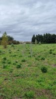 Building plot Pernes-les-Fontaines #017071 Boschi Real Estate