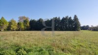 Terrain Pernes-les-Fontaines #017071 Boschi Immobilier