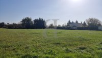 Terrain Pernes-les-Fontaines #017071 Boschi Immobilier