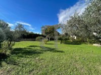 Villa Sainte-Cécile-les-Vignes #017087 Boschi Real Estate