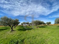 Farmhouse and stonebuilt house Vaison-la-Romaine #017144 Boschi Real Estate