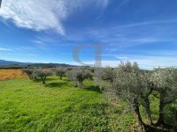 Farmhouse and stonebuilt house Vaison-la-Romaine #017144 Boschi Real Estate