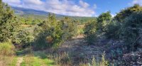 Terrain non constructible Bédoin #017177 Boschi Immobilier